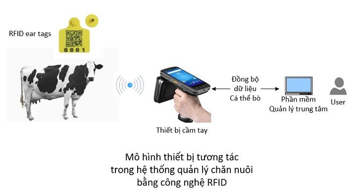 Ứng dụng công nghệ RFID trong ngành chăn nuôi bò Mô hình thiết bị tương tác khác trong hệ thống quản lý chăn nuôi bò bằng công nghệ RFID