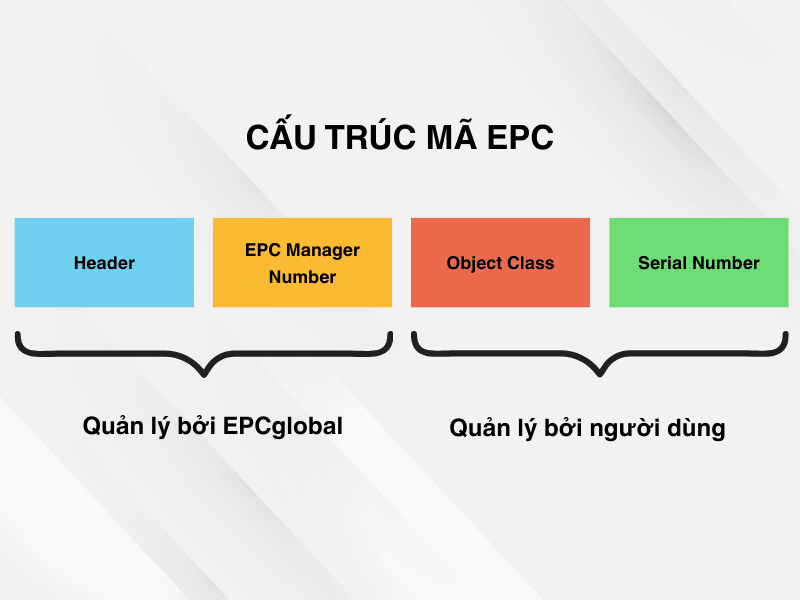 Cấu trúc mã EPC