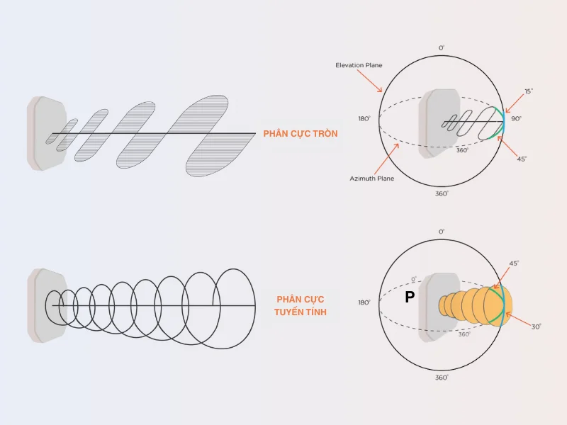 Phân cực của anten RFID