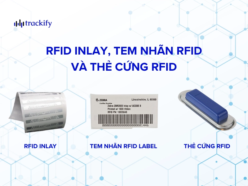 Thẻ RFID UHF là gì? Cách chọn thẻ RFID tần số siêu cao Tem nhãn, Inlay RFID UHF và thẻ RFID UHF