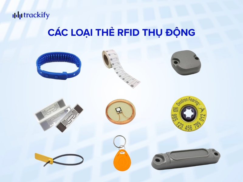 Thẻ RFID thụ động có thiết kế đa dạng với nhiều kích thước và hình dáng