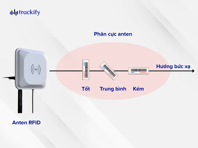 9 yếu tố ảnh hưởng phạm vi đọc của RFID và cách tối ưu Tối ưu hướng thẻ RFID để tăng hiệu quả phạm vi đọc