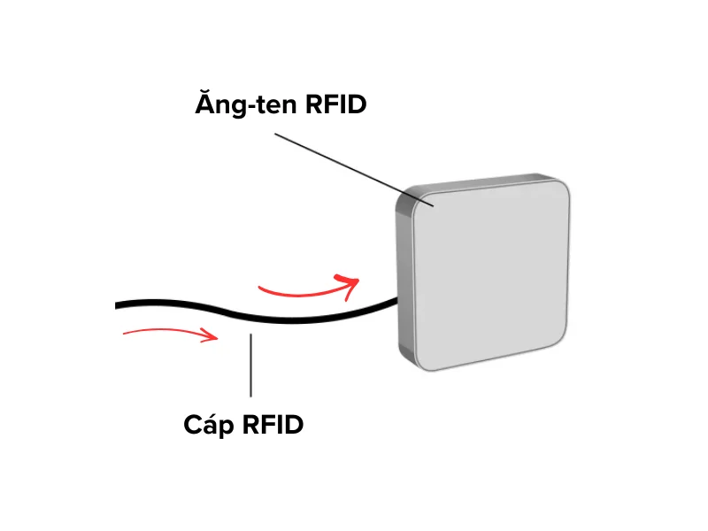 Dòng năng lượng từ cáp tới ăng-ten RFID