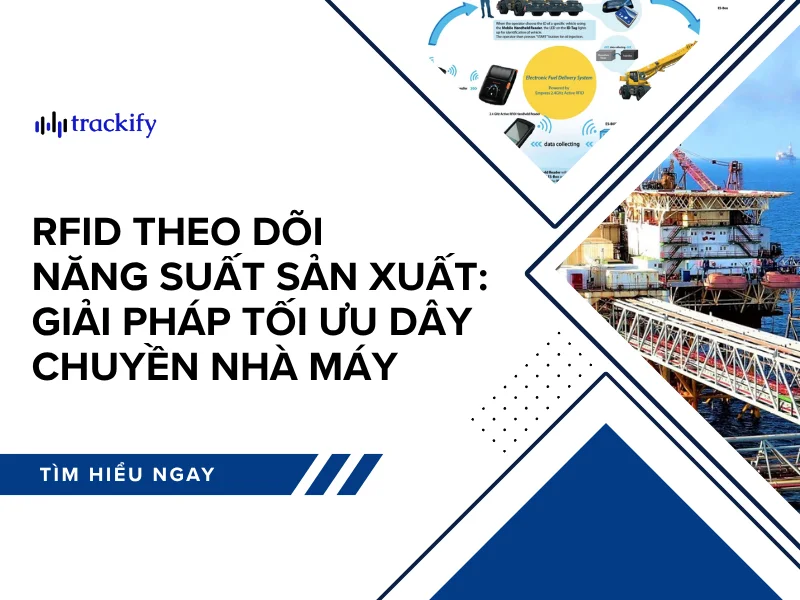 RFID theo dõi năng suất sản xuất: Giải pháp tối ưu dây chuyền nhà máy